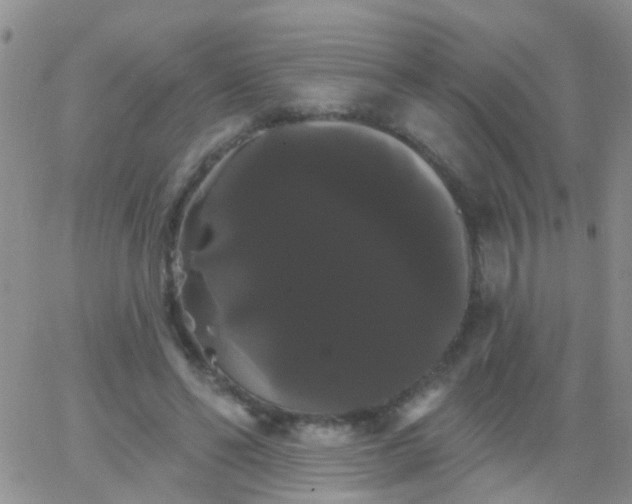 X0000066120494200603171757