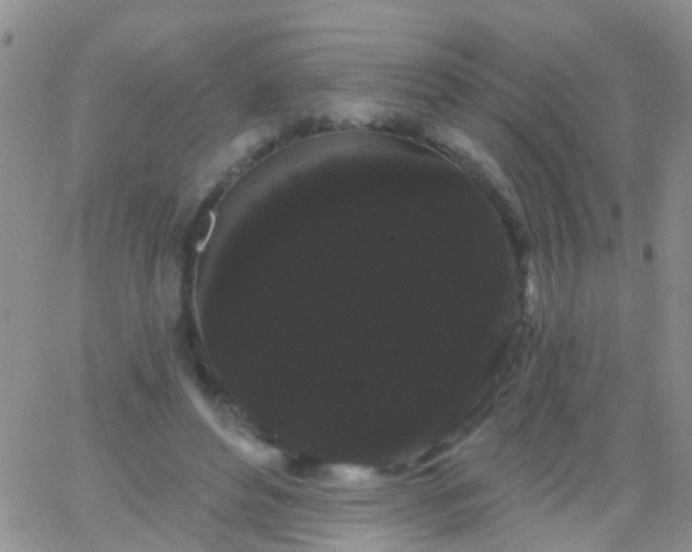 X0000066120496200603171757