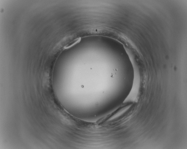 X0000066120497200603171757