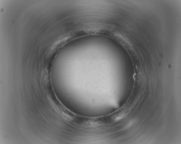 X0000066120498200603171757