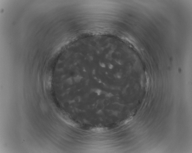 X0000066120499200603171757