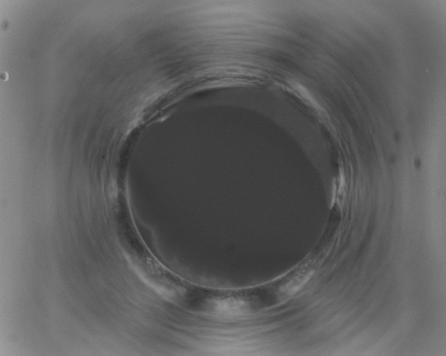 X0000066120500200603171757