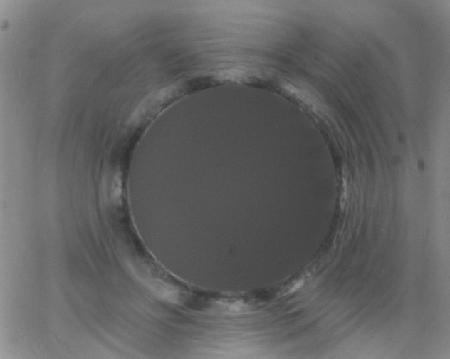 X0000066120502200603171757