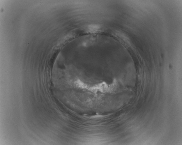 X0000066120503200603171757