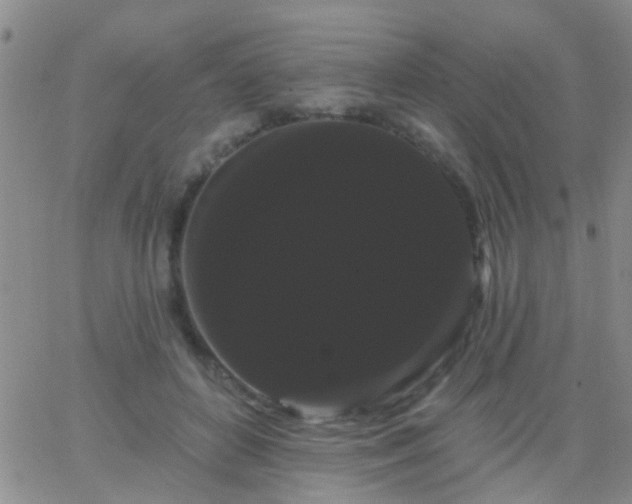 X0000066120504200603171757