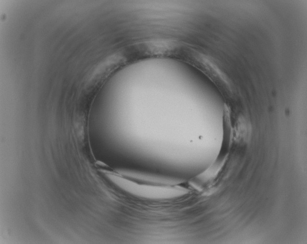 X0000066120505200603171757