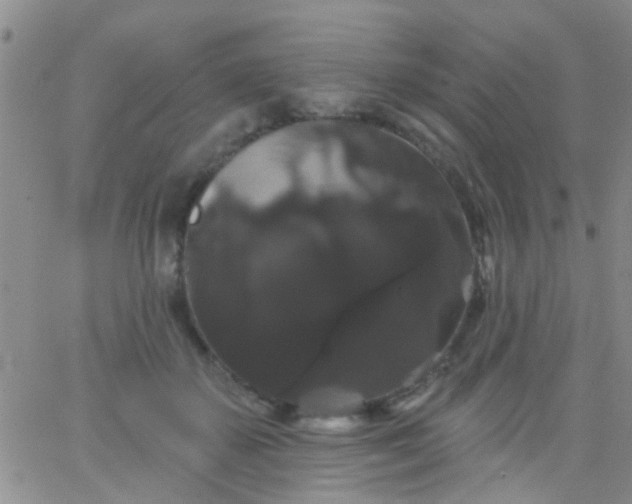 X0000066120507200603171757