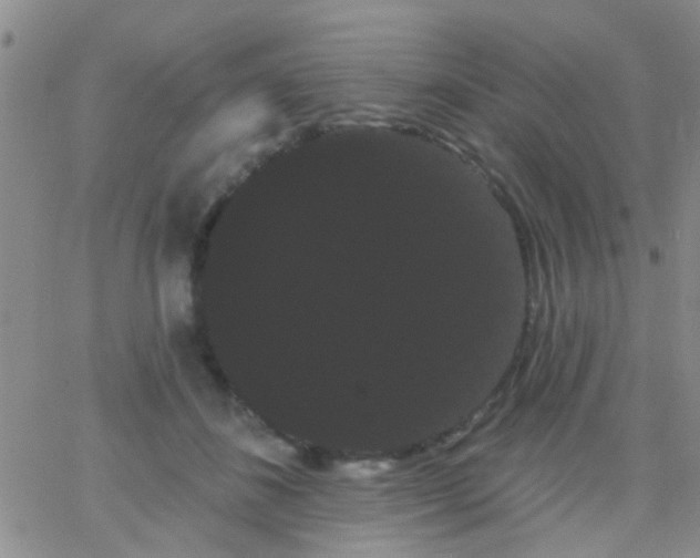 X0000066120508200603171757