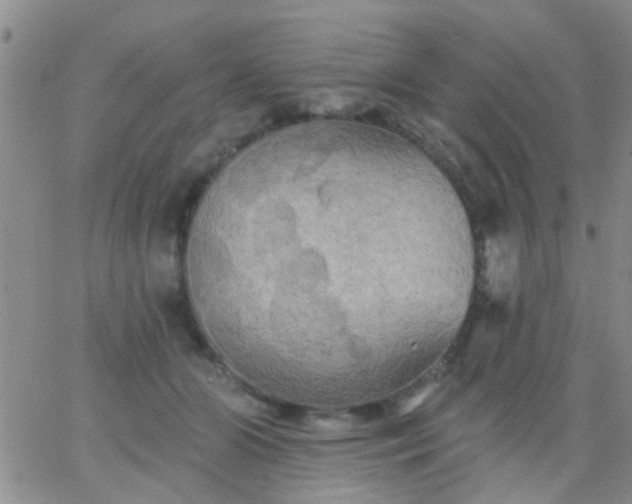 X0000066120510200603171757