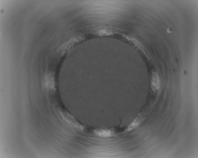 X0000066120512200603171757