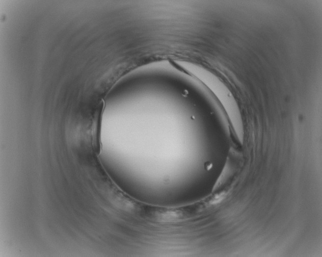 X0000066120513200603171757