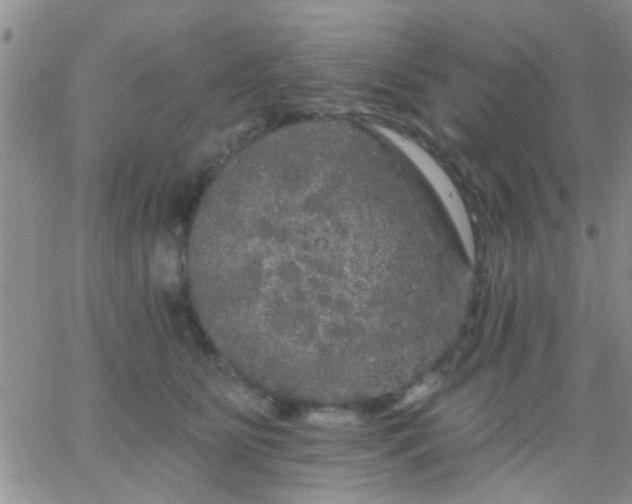 X0000066120515200603171757