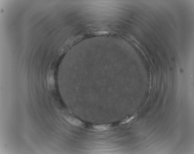 X0000066120516200603171757