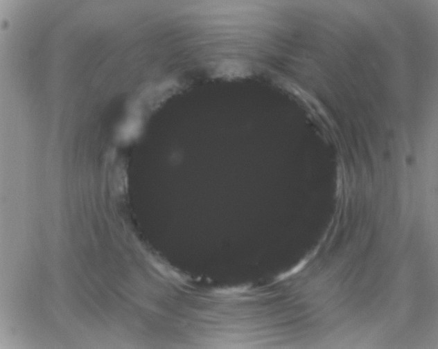 X0000066120517200603171757