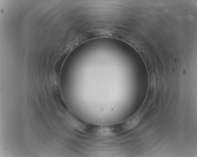 X0000066120518200603171757