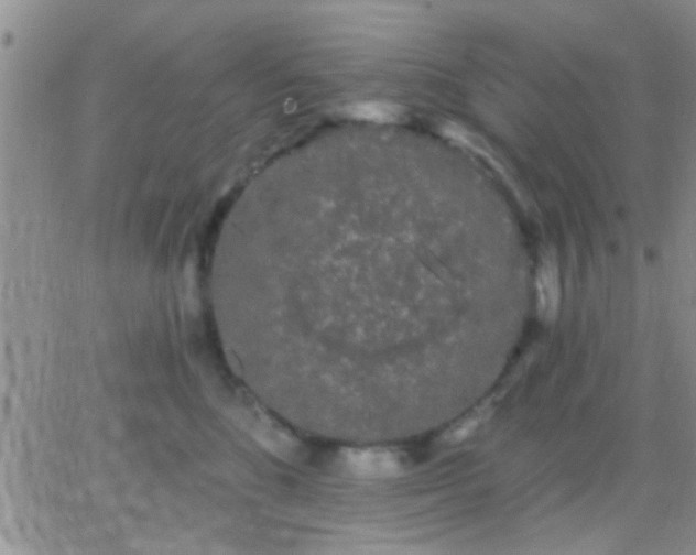 X0000066120520200603171757