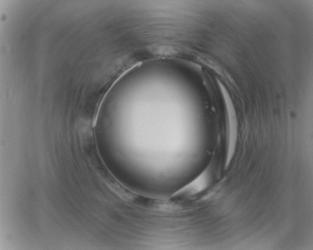 X0000066120521200603171757