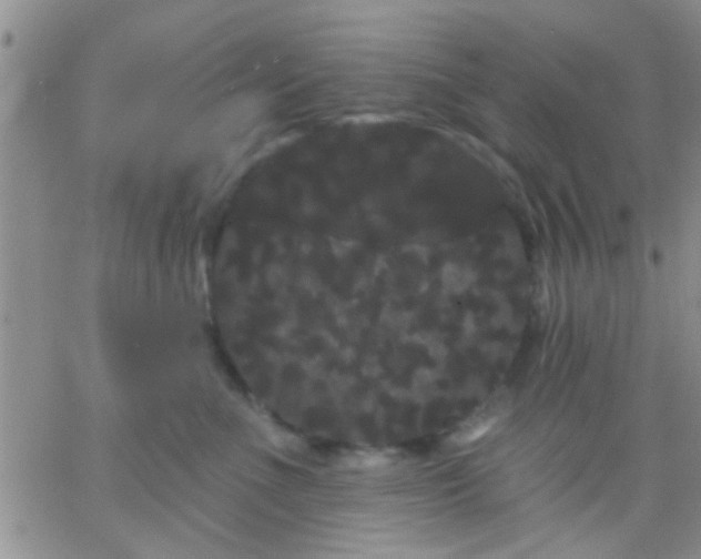 X0000066120523200603171757