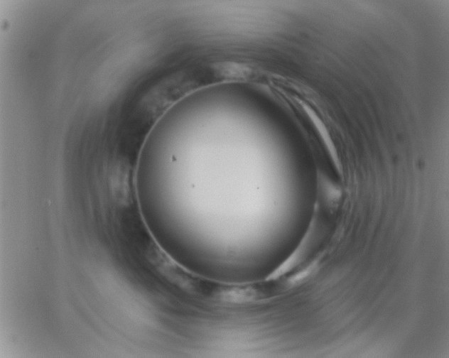 X0000066120525200603171757