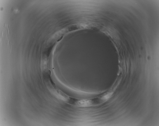 X0000066120526200603171757