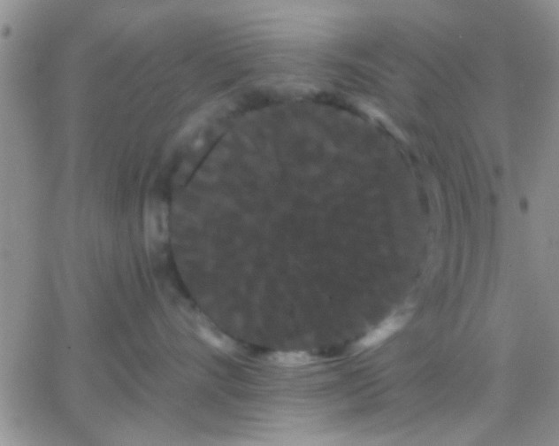 X0000066120528200603171757