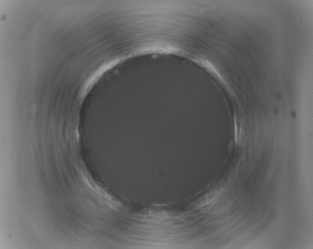 X0000066120531200603171756