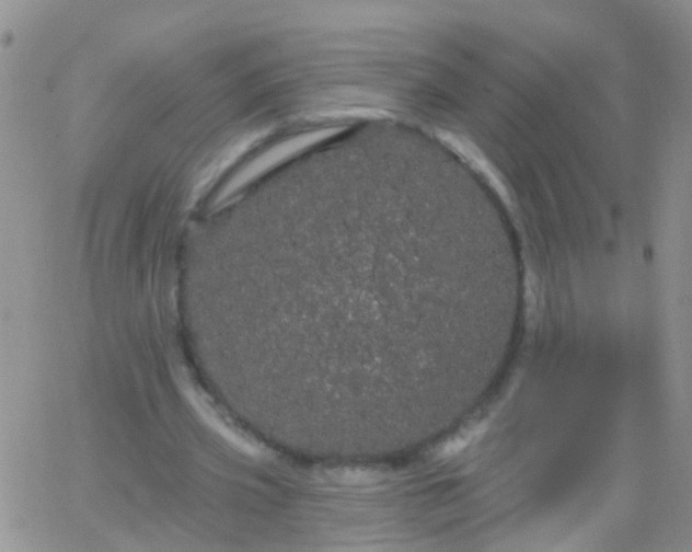 X0000066120533200603171756