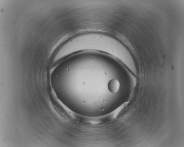 X0000066120534200603171756