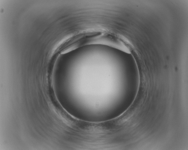 X0000066120535200603171756