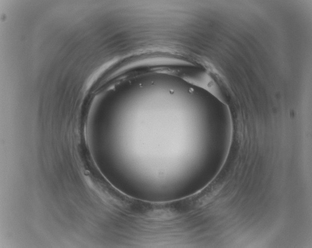 X0000066120536200603171756