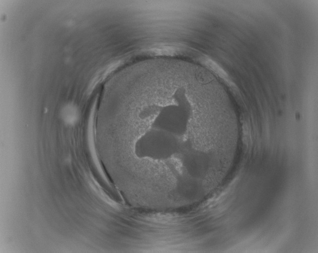 X0000066120537200603171756