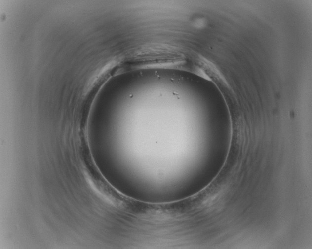 X0000066120538200603171756