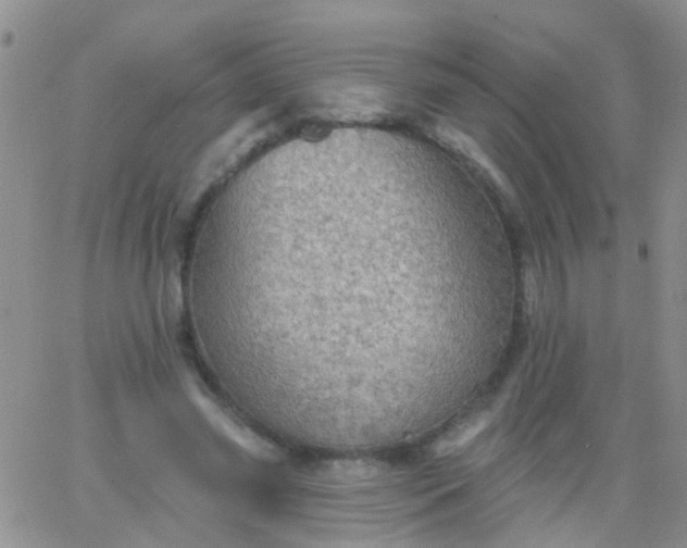 X0000066120541200603171756