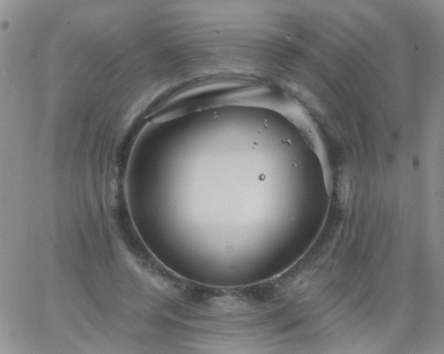 X0000066120544200603171756