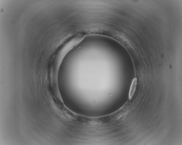 X0000066120546200603171756