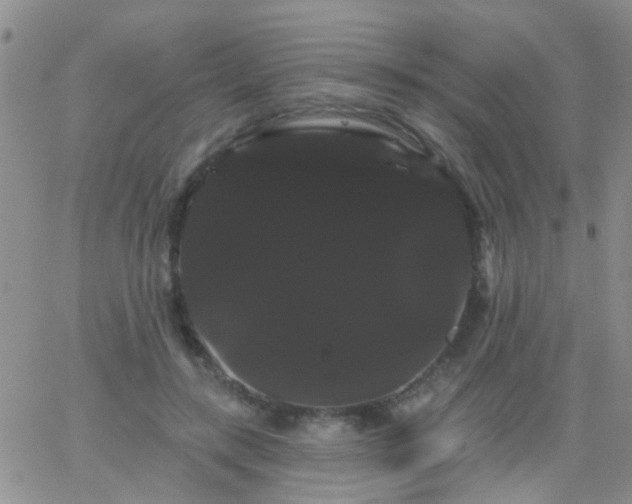 X0000066120547200603171756