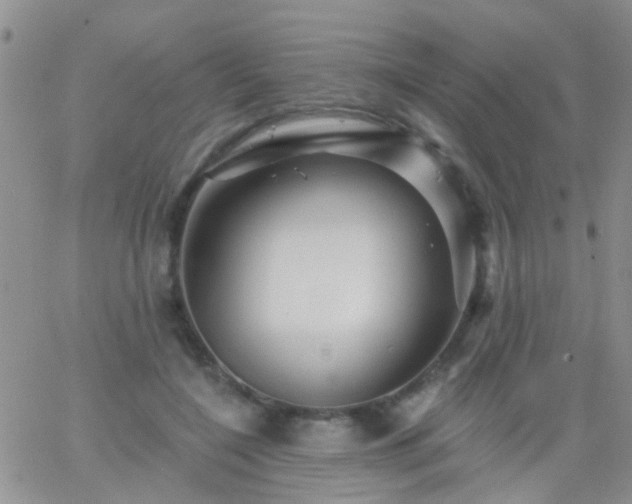 X0000066120548200603171756