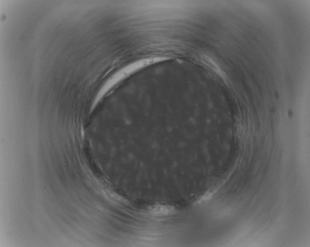 X0000066120549200603171756