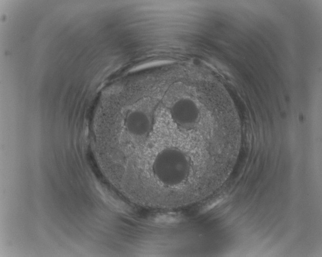 X0000066120550200603171756