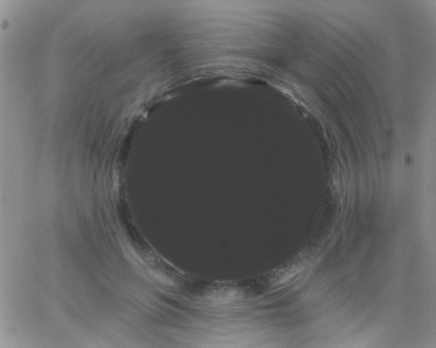 X0000066120551200603171756