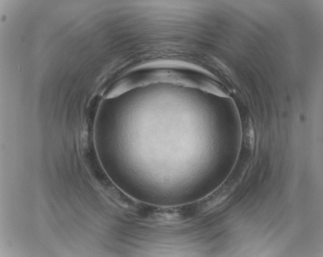 X0000066120552200603171756