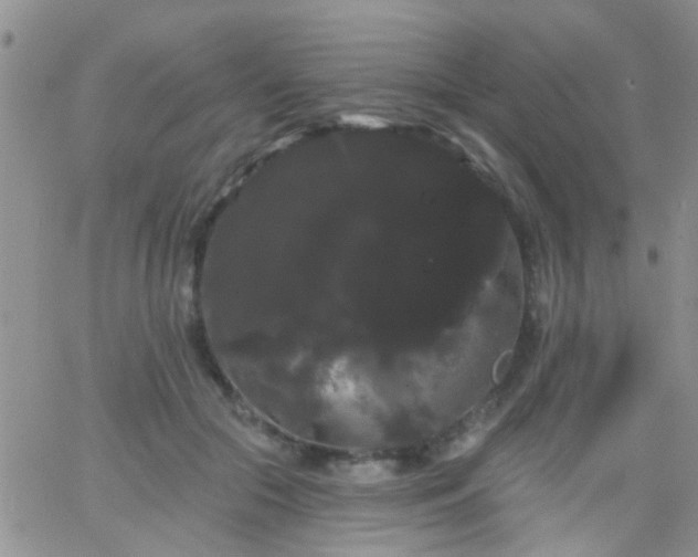 X0000066120553200603171756