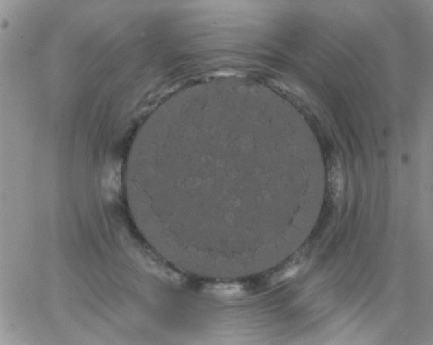 X0000066120554200603171756