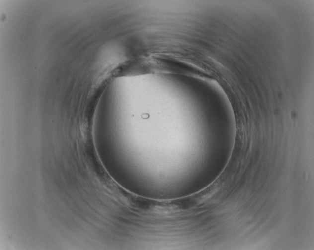 X0000066120556200603171756