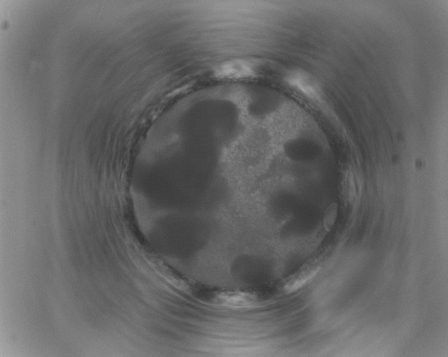 X0000066120557200603171756