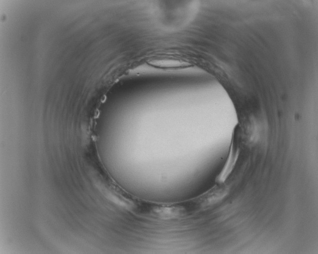 X0000066120558200603171757