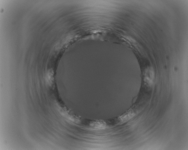 X0000066120559200603171757