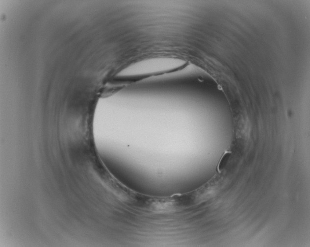 X0000066120560200603171757