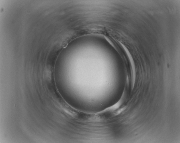 X0000066120562200603171757