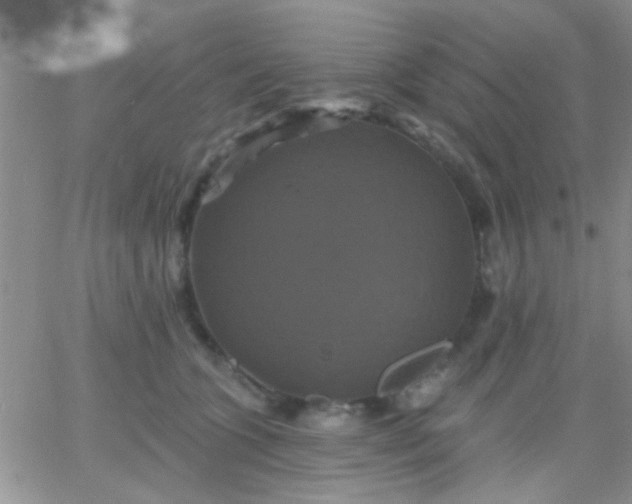 X0000066120563200603171757